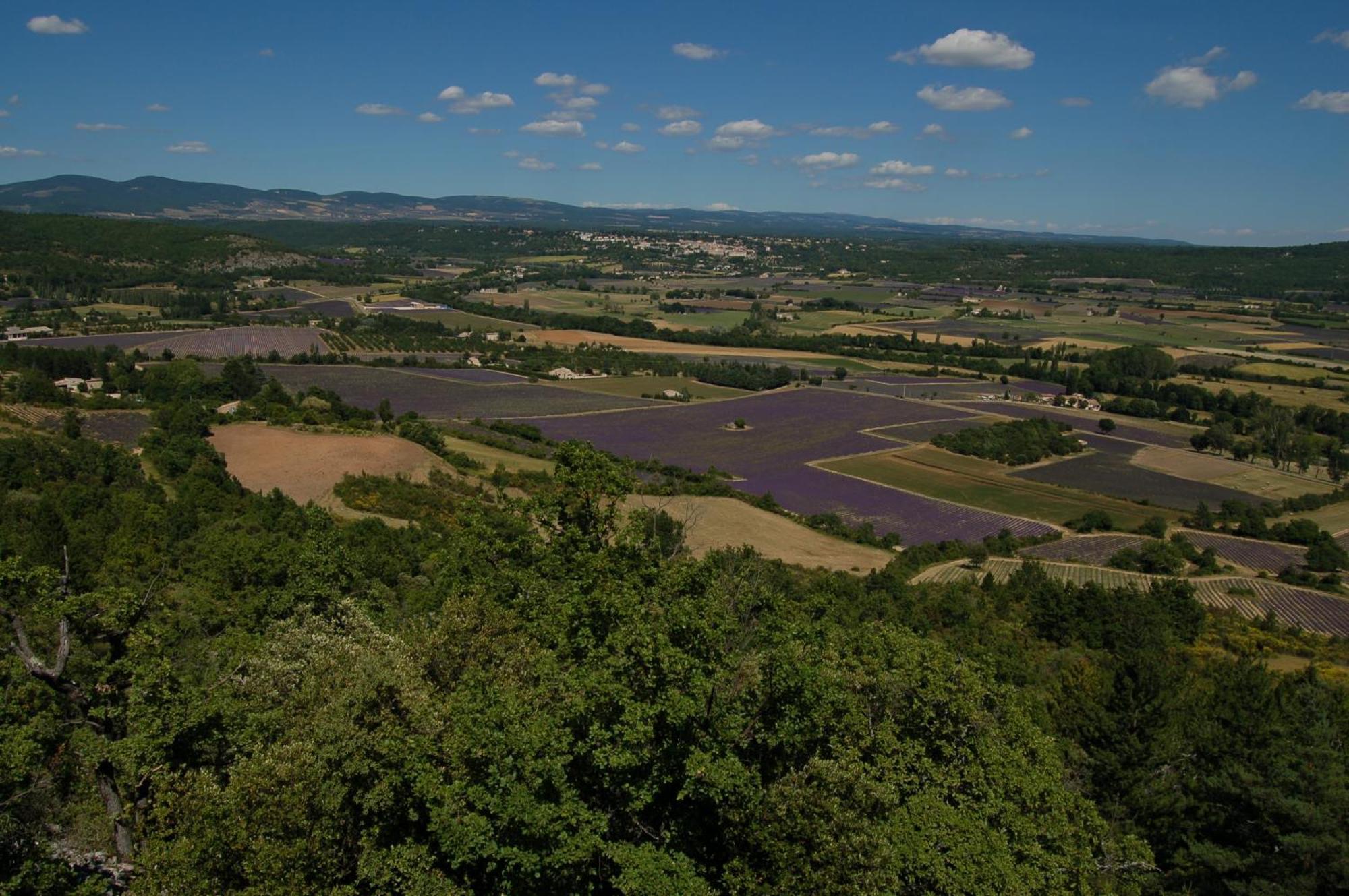 Le Gite De Lolivier En Provence Aramon Kültér fotó